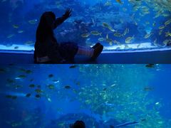 -海合安成都极地海洋公园