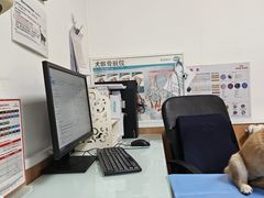 -宠福鑫动物医院(望京分院)