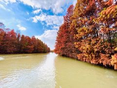 -上海海湾国家森林公园