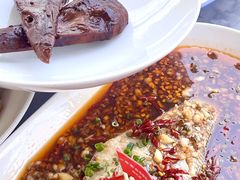 -杨氏青龙虾·羊蝎子(珠江路店)