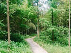 -天花井景区