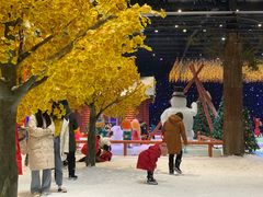 -宁波冰雪大世界(北仑区)