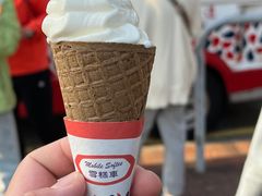 -富豪雪糕车流动点(尖沙咀店)
