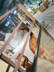 -酷嗒动物文化乐园(cutezoo西溪乐天城店)