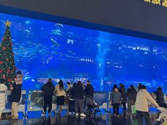 -成都浩海立方海洋公园