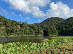 -广州市石门国家森林公园