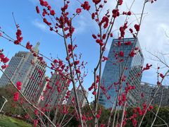 -天鹅湖体育公园