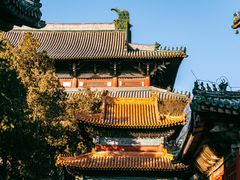 -隆兴寺