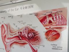 -自然之声助听器·呼吸机(翠微大厦店)