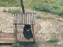 -青藏高原野生动物园