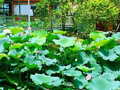 景观位-一品烧农庄·佛山本地菜(西岸店)
