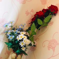 -本真坊美容美体沙龙