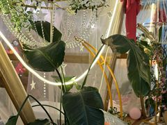 -天空花园餐吧·生日·团建(南山店)