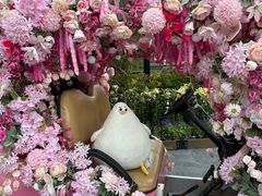 -荷兰花海