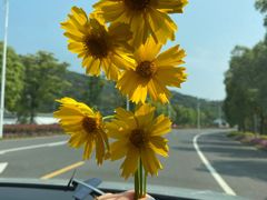 -冰川延边料理·炭烤串(原小木屋店)