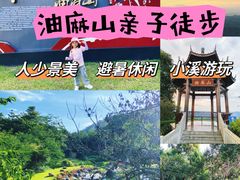 -黄埔油麻山森林公园
