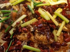 -老板恋上鱼(恒隆广场店)