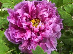 -合肥三国新城遗址公园