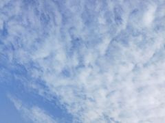 -麒麟小院·老九江菜(安平路店)