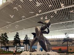 -青岛胶东国际机场