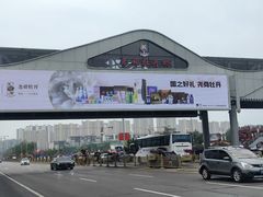 -曹州牡丹园