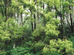 -人民公园(罗湖区)