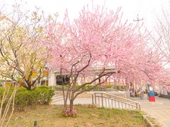 -田村(地铁站)