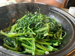 砂锅炒青菜-醉胶东(友谊店)