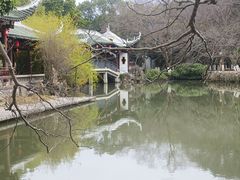 -江心屿景区