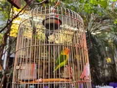 -九尊食上(生态园林酒店)