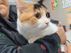 -瑞鹏宠物医院·爱宠堂·骨外专科(西荷分院)