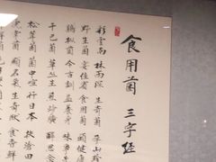-山大王菌莊