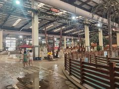 -南宫温泉水世界