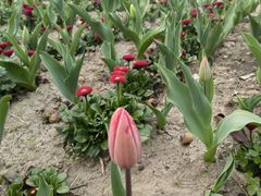 -杭州师范大学(下沙校区)