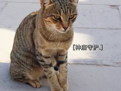 -卡纳克神庙