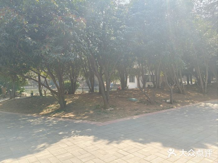 西苑公园图片