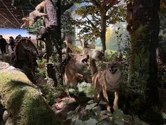 -陕西自然博物馆