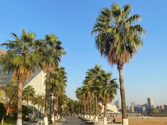 -金沙湖公园