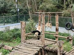 -黔灵山公园