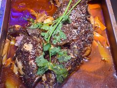 -沈胖子音乐烤吧·炒菜·龙虾(环城东路店)