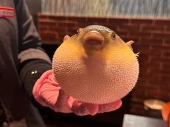 -永安鱼庄·镇江菜(东吴路店)