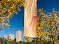 -永定河休闲森林公园