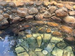 -三亚海棠湾南田温泉神龙谷