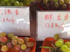 -马陆小张葡萄园农家乐