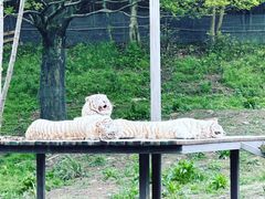 -宁波野生动物园
