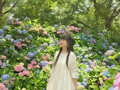 -沈阳植物园