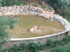 -辛玛王国游乐园