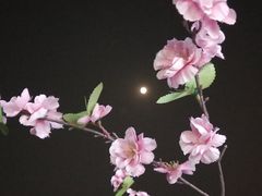 -幻彩摩天轮