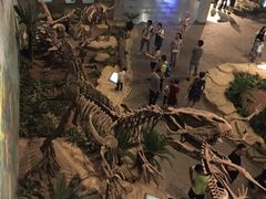 -自贡恐龙博物馆