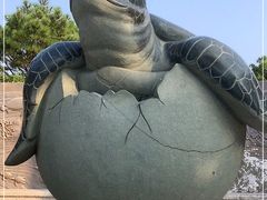 -广东惠东海龟国家级自然保护区